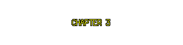 CHAPTER 3